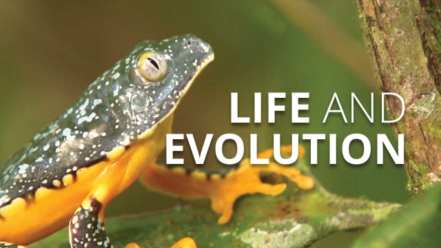 Programme 2 - Life and Evolution