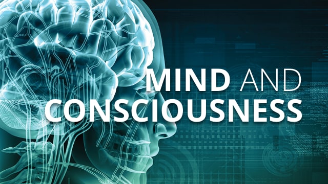 Programme 3 - Mind and Consciousness